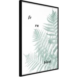 Arkiio Affisch Fern Plant [Poster] 20x30 Poster